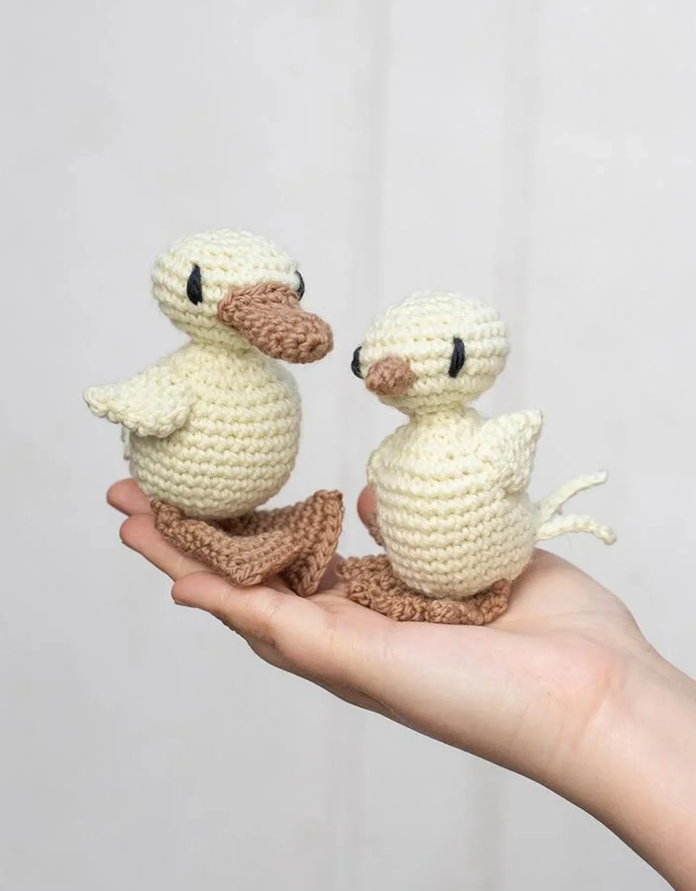 Duckling and Chick Crochet Kit