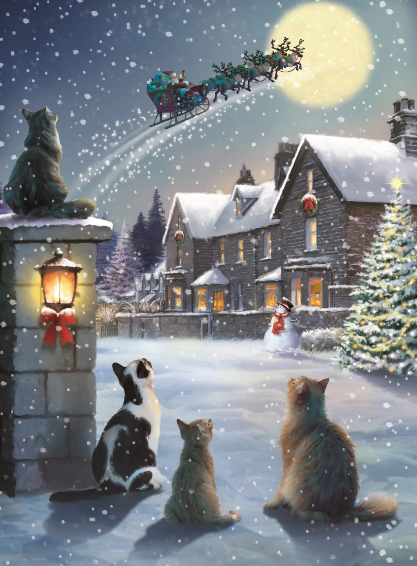 Snowy Village Advent Calendar Card